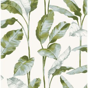 Green Banana Leaf Peel and Stick Wallpaper