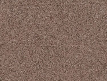 csm F6800111 2411305485