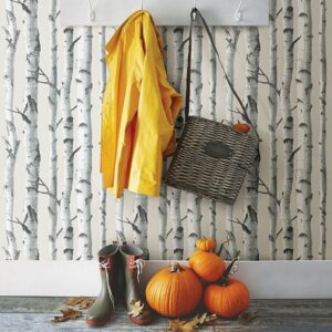 Birch Tree Peel & Stick Wallpaper