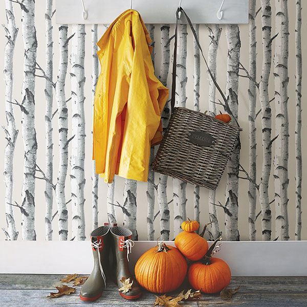 0016260 birch tree peel and stick wallpaper.jpeg
