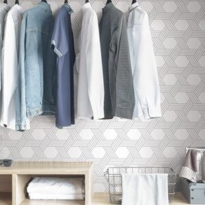 0043581 silver illusion self adhesive.jpeg