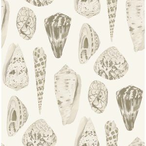 Cream Coquina Scalamandré Self Adhesive Wallpaper