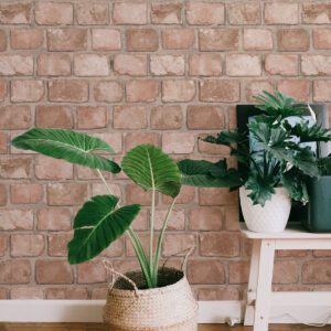 0055555 forbes peel and stick wallpaper.jpeg