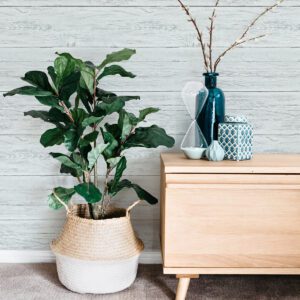 0055565 westbrook peel and stick wallpaper.jpeg