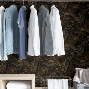 Black Ethereal Cosmos Peel and Stick Wallpaper