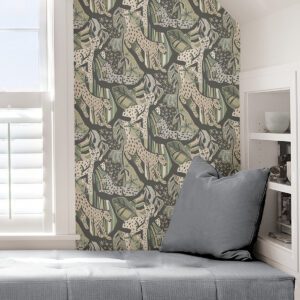 Cream Grey Cat Nap Peel and Stick Wallpaper
