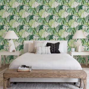 Green Adansonii Peel & Stick Wallpaper