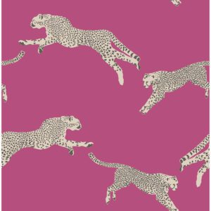 Bubblegum Leaping Cheetah Peel and Stick Wallpaper