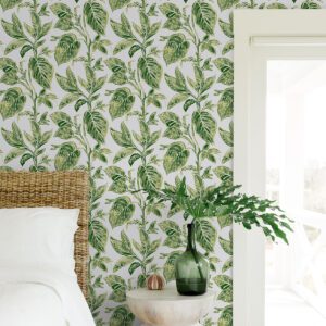 0059166 green caryota peel and stick wallpaper.jpeg