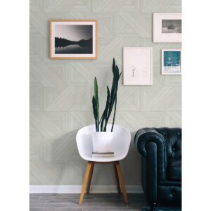0060807 cream weser geometric geometric peel and stick wallpaper.jpeg