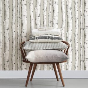 0062285 downey birch tree peel and stick wallpaper.jpeg