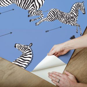 Azure Zebra Safari Peel and Stick Wallpaper