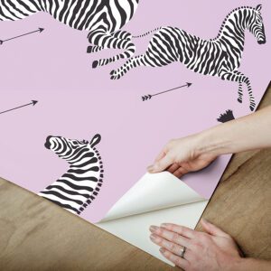 Lilac Zebra Safari Peel and Stick Wallpaper