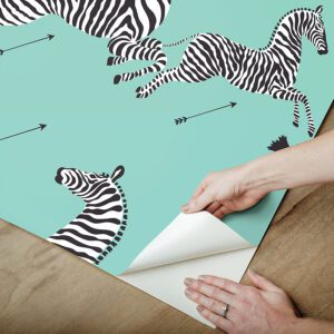 Aqua Zebra Safari Peel and Stick Wallpaper