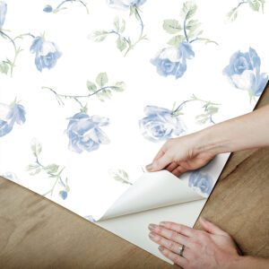 French Blue Ribbon Rosa Peel and Stick Wallpaper