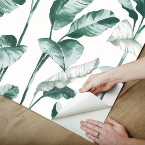 Teal Banana Leaf Peel and Stick Wallpaper