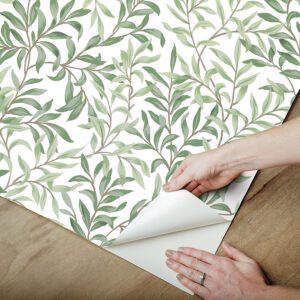 Herb Green Terrace Vines Peel and Stick Wallpaper