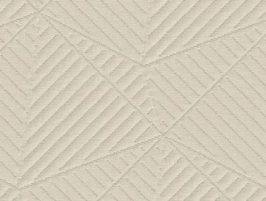 c29a92 316fe7d771f4478bbfe7ca8e164cb456~mv2.jpg