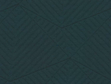 c29a92 61f70113883e4bd38622513205898c5d~mv2.jpg