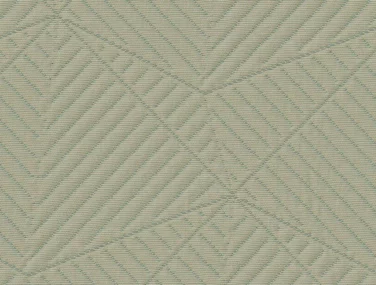 c29a92 63781edbe9c54d08b47ef1f3039a41a0~mv2.jpg