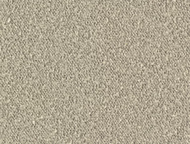 c29a92 cefc1da399a6435da2b4b59557861fe9~mv2.jpg