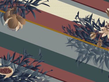 Collezione Passiflora Caeruela