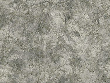 carrara01 scan scaled