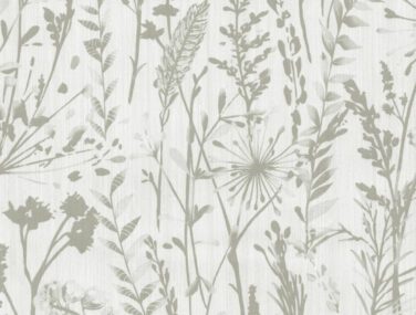 meadow01 new scan scaled