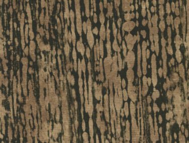 BAT 005 scaled 700x685