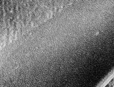 beton close up scaled