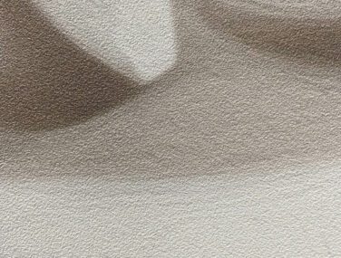 rosa close up scaled