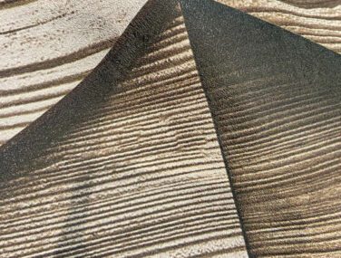 treen close up scaled