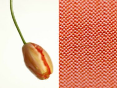 yoyo3206svenssonv23split2