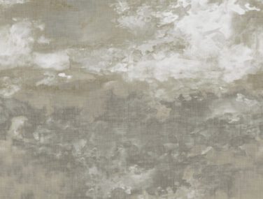 AN02109 BUENA VISTA SHADOW