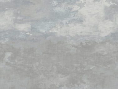 AN02110 BUENA VISTA POWDER