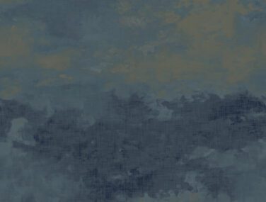 AN02111 BUENA VISTA MARINE