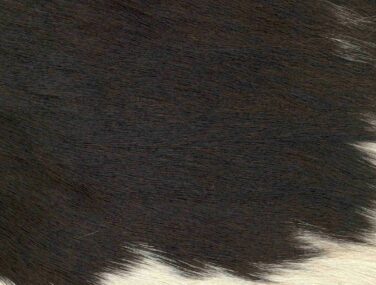 Capelli - Hair on Hide