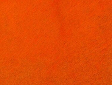 BRILLIANT ORANGE qaxvj7v1skb7d3kdyjjy3ind8gp27x2u0kzs3i8b3k