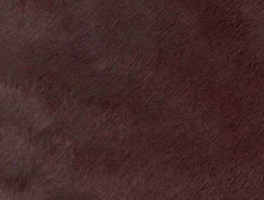 CAB SAV qaxvj9qq68ds0bhnnkd78i6af8fsnbaaouar225ir4