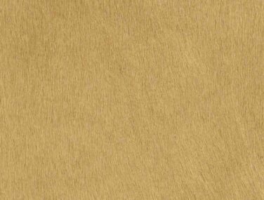 CAMEL qaxvjck8qqhmz5dk73l2xzgo7e1waelhp897hw1c8g