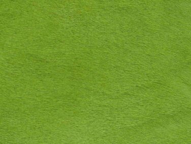 CHARTREUSE qaxvjdi2xkixarc71lzpih84srx9i3p81cwoz5zy28