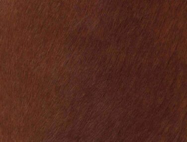 CINNAMON qaxvjh9fowo2l76qfnm7sg9z6beqcw45dvimw9uddc