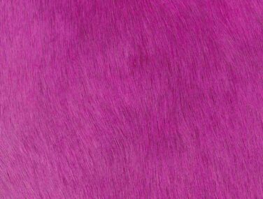 FUSCHIA qaxvk5p8mlliz278gy6ila3ymc29x0t658h9dgu4vk