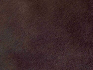 MOCHA qaxvklohus7egfk0vn369o2spvvijvklvfkij66fxs