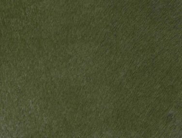 MOSS qaxvknk68g9z3nhaknwfenlpwnm8z9s2jovhhq3nlc