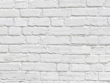 NC16 Brick CW02 White NEW