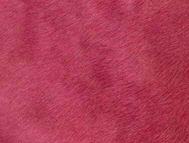 ORCHID qaxvkrbizsf4e3btypixomnka73pu26zw7hfety2wg