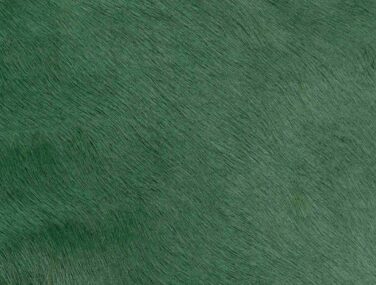 PALM qaxvkt77dghp1b93nqc6tm6hgyug9gegkgseddvak0