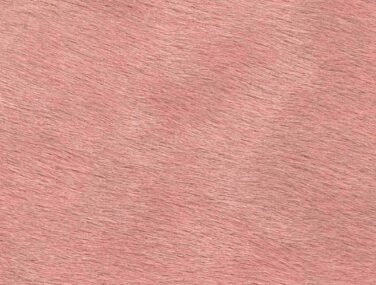 PINK BLUSH qaxvkxwebmo4nd29wadbo2zsfw7abxx4941trrobow