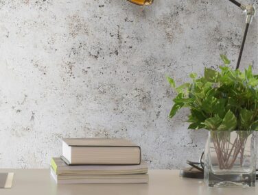 Raw Surfaces - Plaster